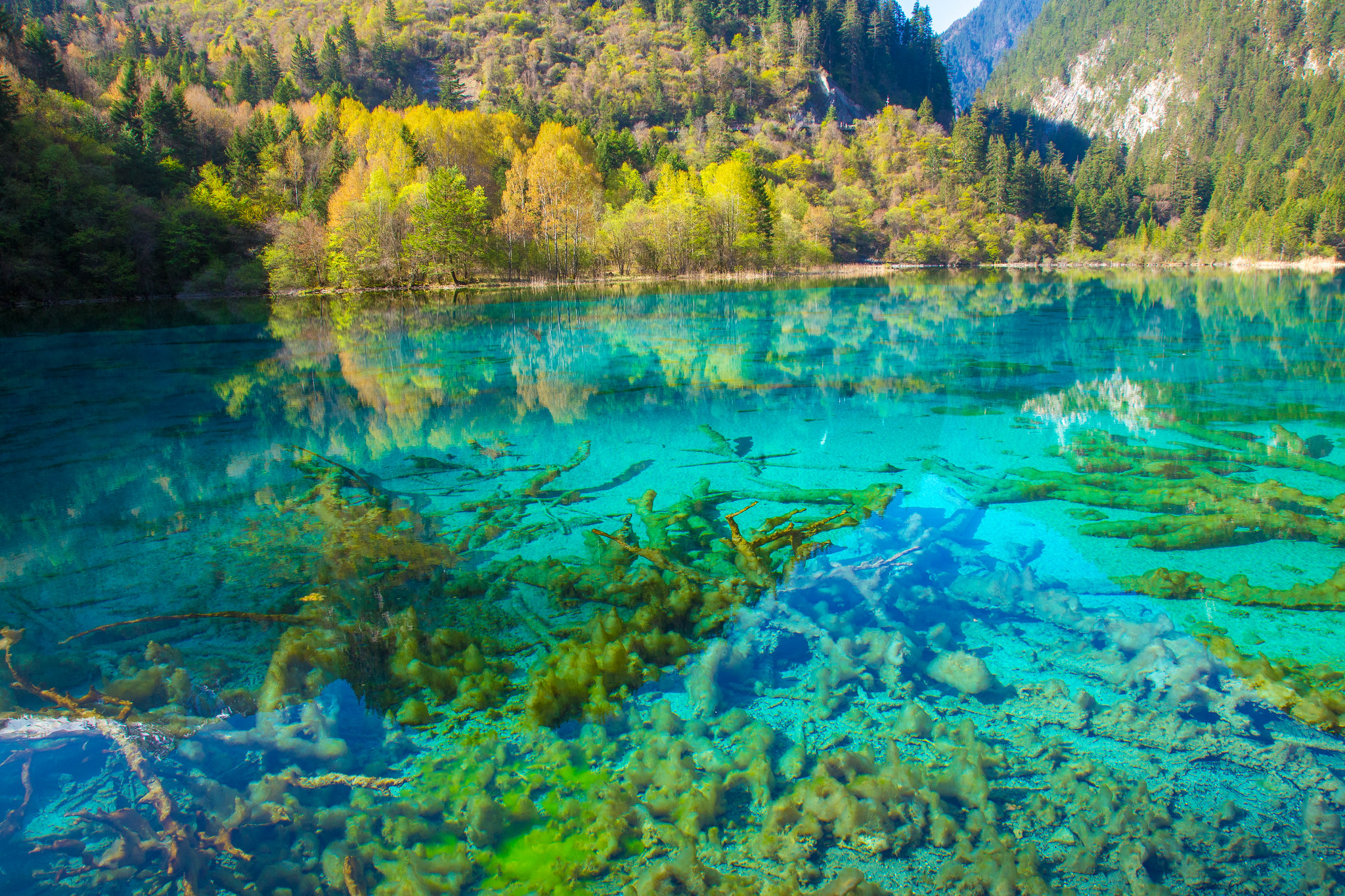 Jiuzhai Valley National Park